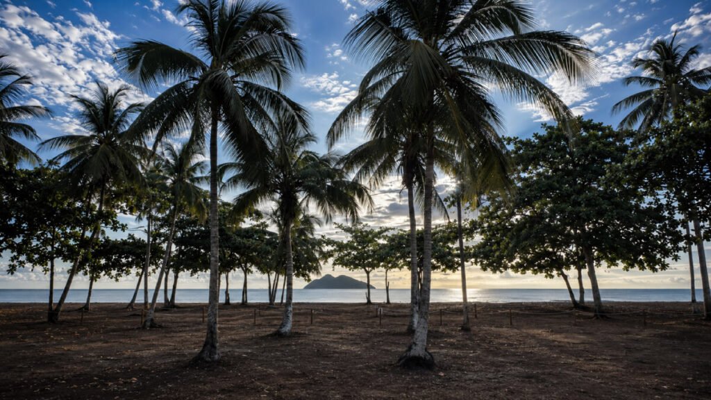 roulotte beach